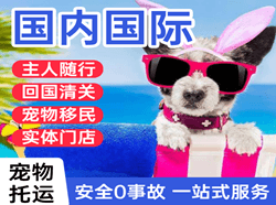柳州白莲机场货运国际宠物托运 【国